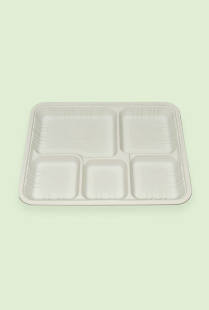 Bandeja 5 divisiones